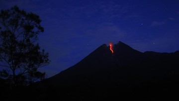 Gunung Merapi Semburkan Lava Pijar Sejauh 450 Meter