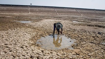 9 Ribu Jiwa Terdampak Kekeringan