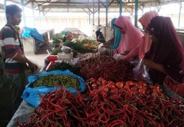 Pedagang: Ingin Perekonomian Inhil Bagus, Stabilkan Harga Kelapa 