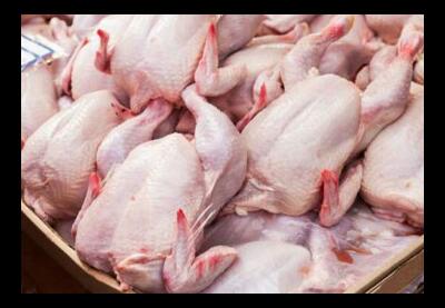 Harga Ayam Ras Tembus Meroket Rp32.000 Per Kilogram