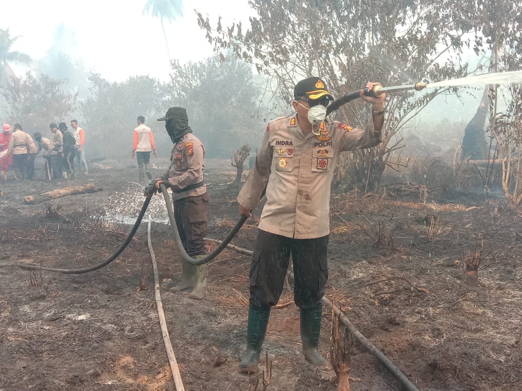 Karhutla yang Terjadi  di Kelurahan Bandar Sri Gemilang Tim Gabungan Bergoyang Padamkan Api