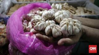 Impor Bawang Putih Sudah Masuk, Darmin Pastikan Harga Turun