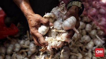 Kemendag Klaim Harga Bawang Putih Saat Ini Rp 40 Ribu per Kg