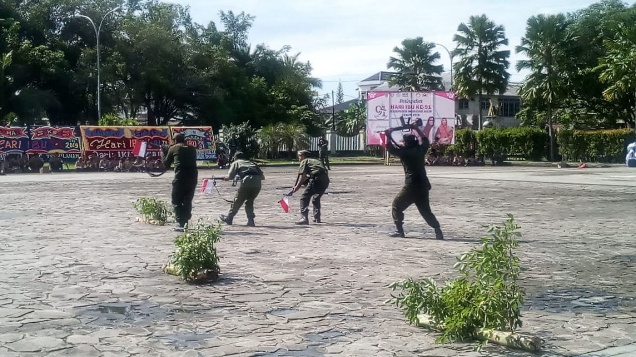 Bupati Inhil Apresiasi Drama Kolosal Letnan M Boya