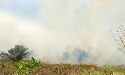 Kabut Asap Kian Pekat, Kualitas Udara Tidak Sehat