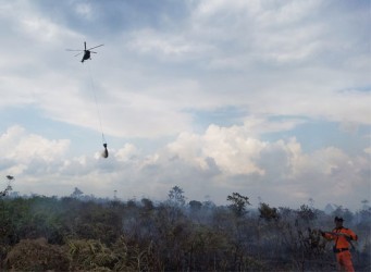 Mengenai Karhutla, Dewan Ingatkan Gubri Jangan Lengah