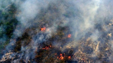 Sebanyak  25 Titik Api Terpantau di Riau, Pelalawan Terbanyak