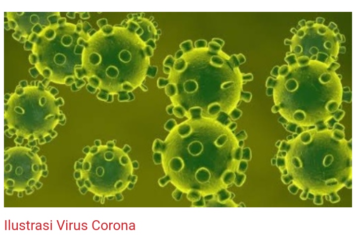 Dinkes Inhil Himbau Agar Waspada Wabah Virus Crona