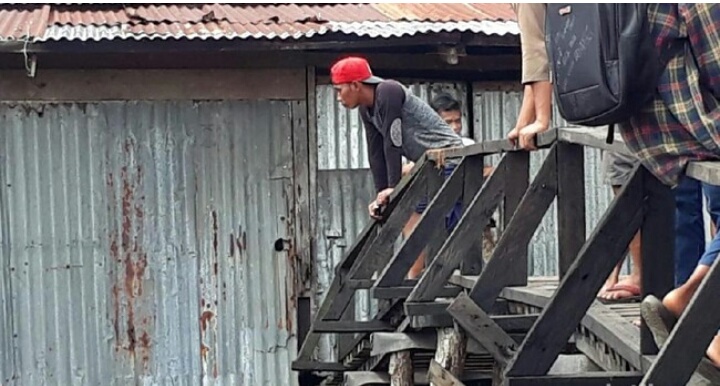 Belum Bisa di Evakuasi Harimau Terjebak Dipemukiman Warga Inhil diberi Ayam