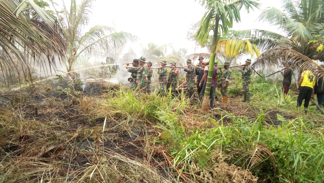 Kebakaran Hutan dan Lahan di Inhil, Sumber Air Kering Pemadaman Jadi Makin Sulit