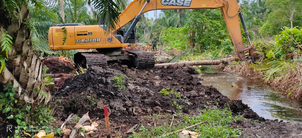 Program Pengembangan Kelapa Terpadu di Desa Sungai Gantang Mulai Terealisasi