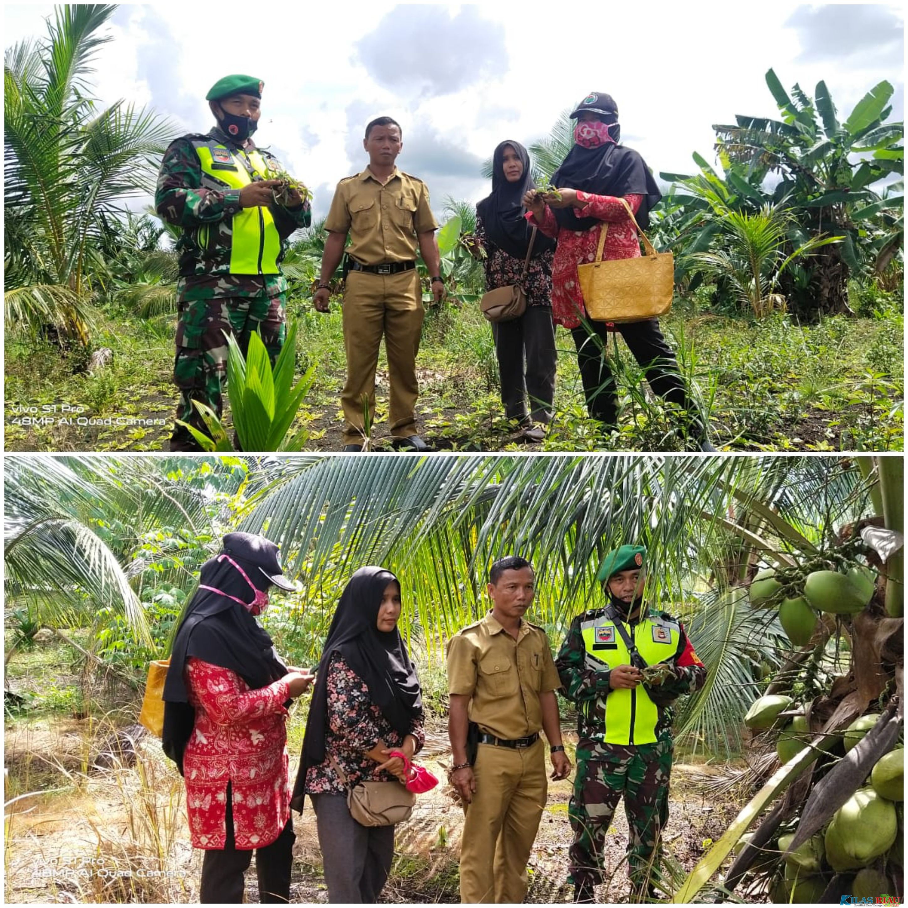 Tingkatkan Perekonomian Masyarakat, Desa Bagan Jaya Lakukan Promosi Hasil Pertanian