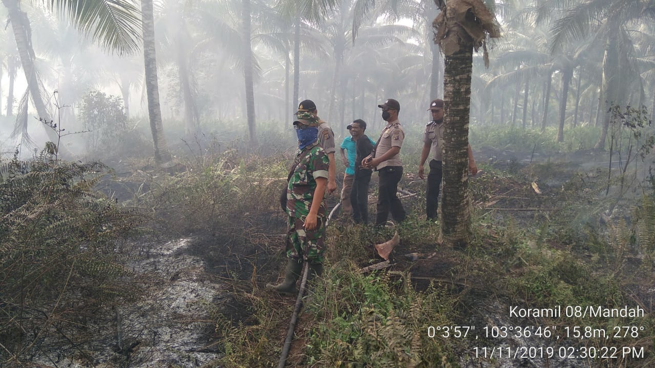 Danramil 08 Lakukan Pencegahan Titik Hotspot di Lokasi Perkebunan Kelapa