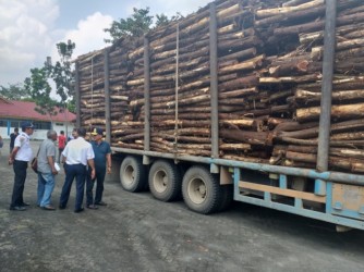 Empat Truk yang Bermuatan Kayu Diamankan di Perawang