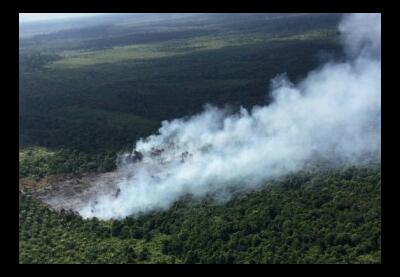Titik Api Masih Terdeteksi di Riau, Terbanyak di Siak