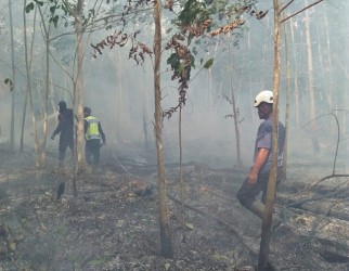 Akibat Kabut Asap Karhutla 21.671 Warga Riau Terpapar ISPA