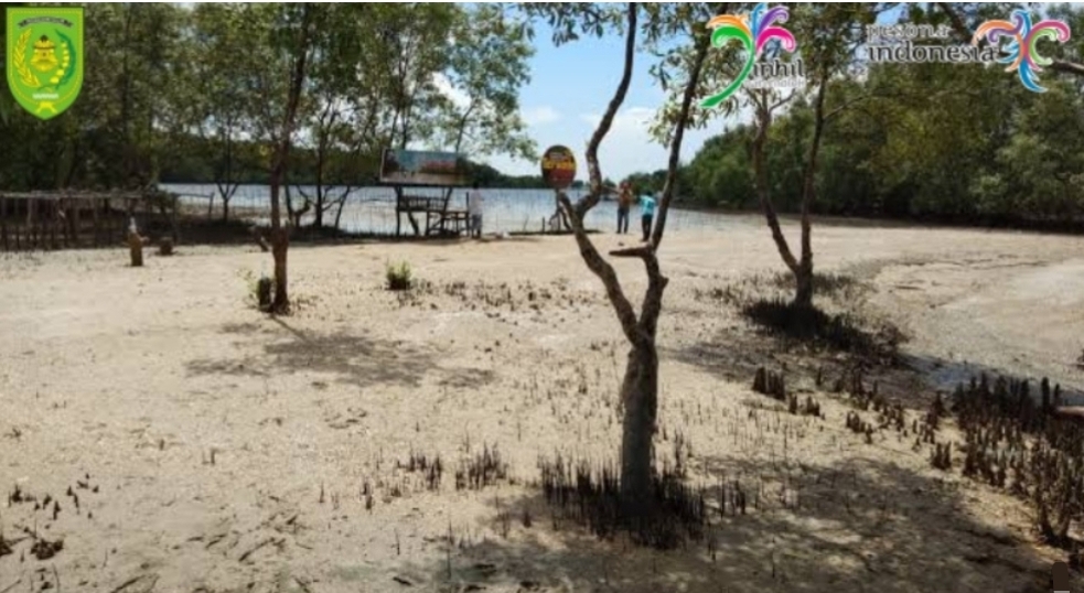 Pantai Terumbu Mabloe Jadi Pemandangan Yang Unik dan Tidak Kalah Menarik