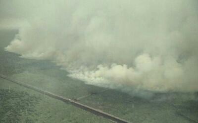 Kebakaran Hutan dan Lahan Kembali Terjadi di Riau