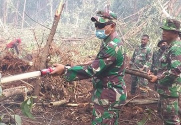 Di Pelalawan TNI, Polri dan Warga Berjibaku Padamkan Karhutla