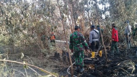 11 Hotspot Terdeteksi di Riau, 9 Diantaranya Diduga Kuat Karlahut