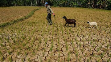 Kemarau Panjang, Krisis Air Bersih Meluas di Sejumlah Wilayah Indonesia