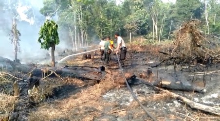 Polisi Telah Menetapkan Tersangka Pembakaran Kasus  Karhutla  di Rambah Hilir