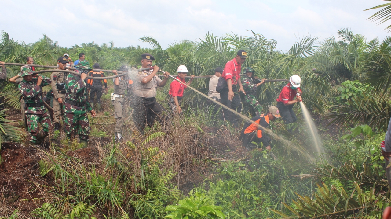 Dandim 0314/Inhil Letkol Inf Imir Faishal Semua Unsur Sigap, Cepat dan Tepat dalam Penangan Kahutla