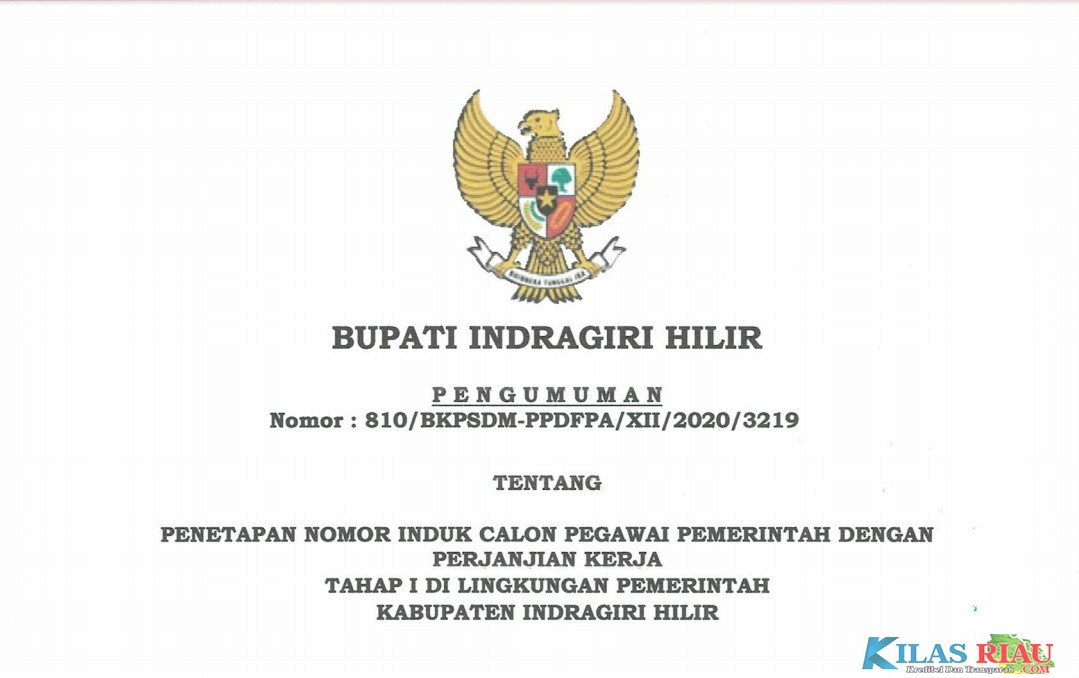 146 CPNS  Telah Ditetapkan Sebagai Pegawai Pemerintah dan Wajib Siapkan Persyaratan Ini
