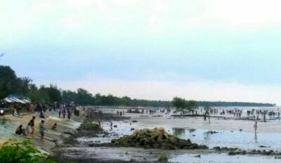 Penahan Abrasi Utara Pulau Bengkalis Tidak Dianggarkan di Tahun Ini