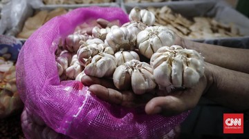 Mengintip Celah Korupsi di Sela  Impor Bawang Putih