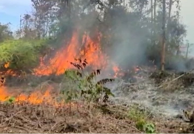 Karhutla Di Rogul Menghangudkan 25 Hektar Hutan, Helikopter Water Bombing Membantu Memadamkan api