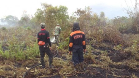 Hutan dan Lahan 5.210 Hektar  di Riau Terbakar