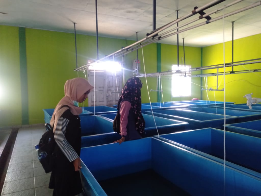 Faperta Prodi BDP Lakukan Karya Ilmiah Jurusan Aquaculture
