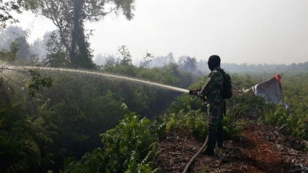 2,5 Hektar Lahan Gambut Terbakar di Bantan Bengkalis