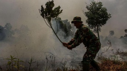 Asap Karhutla Sudah Masuk Malaysia, Capai Level Bahaya