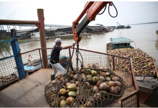 Sambu Grup Tetap Beli Kelapa Petani dan Pastikan Roda Ekonomi Masyarakat Tetap Berjalan