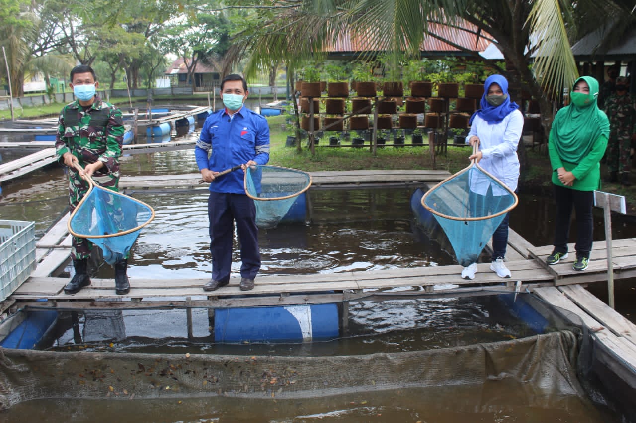Hari Ini Kodim Inhil Bersama PT PJB PLTU Tembilahan Panen Ikan Lele