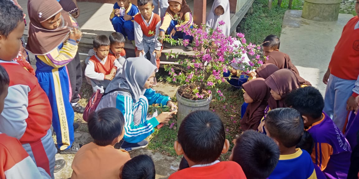 Mahasiswa KKN Sungai Perak Melaksanakan Pelatihan Cara Sambung Pucuk Bunga Bougenville
