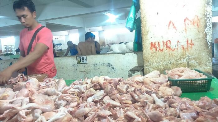 Harga Daging Ayam di Pekanbaru Sudah Turun