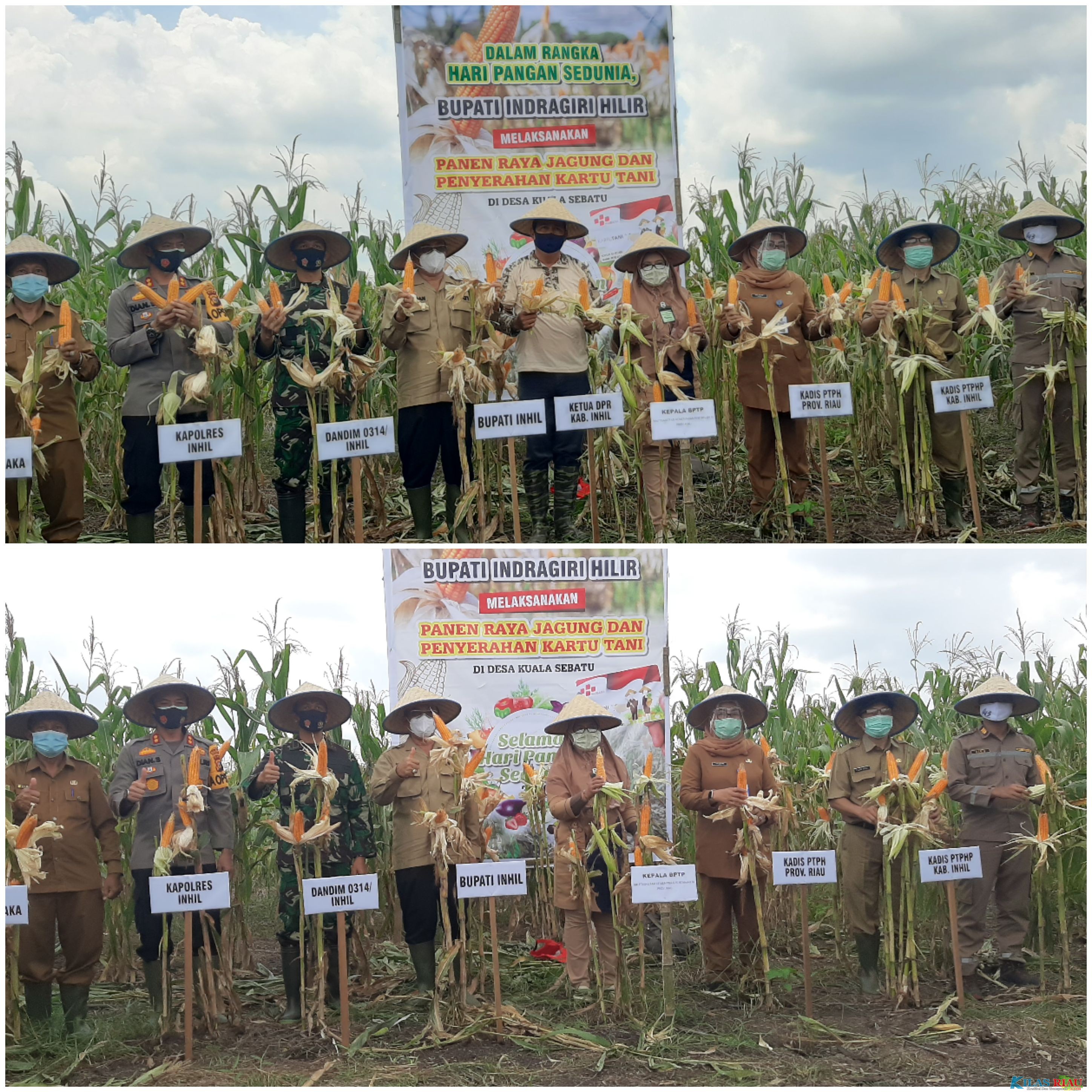 Pertama Kali Laksanakan Panen Raya di Desa Kuala Sebatu, Ini Harapan Bupati Inhil