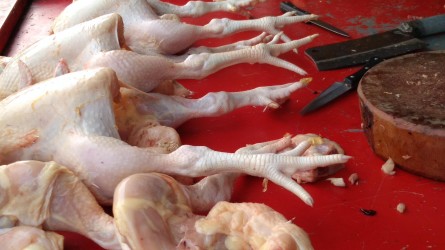 Harga Ayam Ras di Pekanbaru Terus Turun Merosot