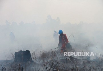 Ibu Kota Baru Dilanda Kebakaran Hutan dan Lahan