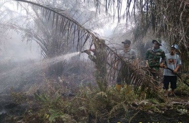 TNI Berjibaku Padamkan Karhutla