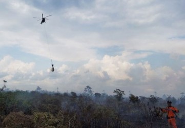Luas Lahan yang  Terbakar Riau Mencapai 4.582,62 Hektare