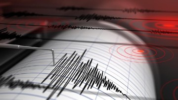 Gempa Magnitudo 4,2 Mengguncang Lombok, Berpusat di Darat