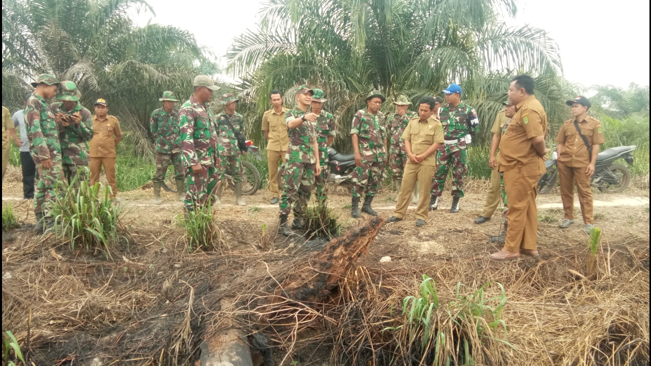 Hari Ini Dandim 0314 Inhil Tinjau Lokasi Karhutla di Kecamatan Kemuning