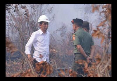 Jokowi Terima Hukuman karena Alasan Tidak Bisa Dibenarkan