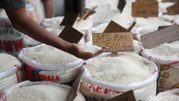 Harga Beras Naik 10%, bakal Ada 1,2 Juta Orang Miskin Baru