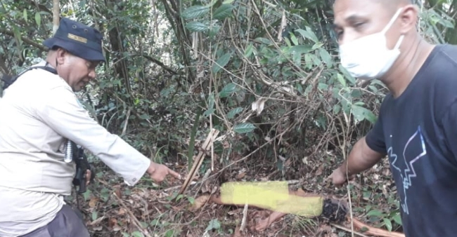 Sedang Asyik Duduk, Perempuan Di Pelalawan Ini Diterkam Harimau