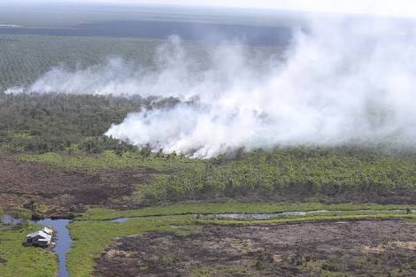 61 Hotspot Terpantau di Sumatera, Jambi Terbanyak